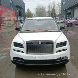 其他电动车;电动三轮车;新能源汽车