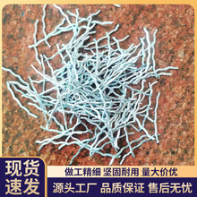 ������w�S���a�S�ҽ��B���B��ƺ���B�øߏ�����N���y��w�S