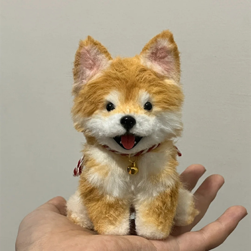 토끼털 노란색 혀 시바견 강아지 소재