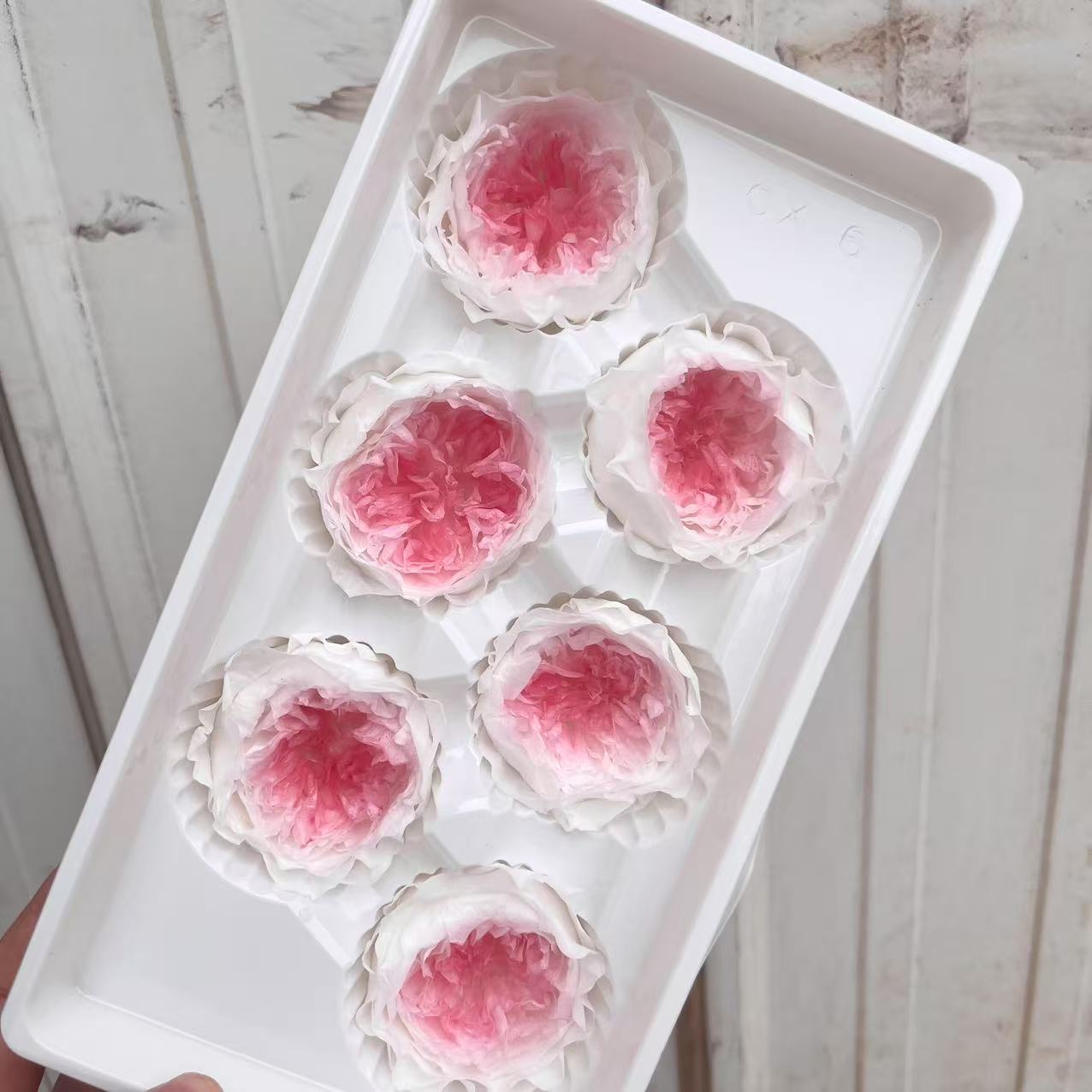 Grado A 5 - 6cm Blanco + 6 flores de rosa / caja