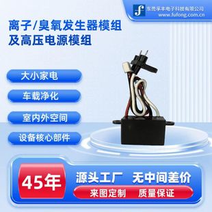 Dc Plasma Ionizer Dc12V Positive and Negative Ion Module Cul, Ce Certified Source Manufacturer Can Be Customized