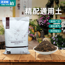 �ʘ�ֲͨ�àI�B�������䷽���[����̿�Gֲ�¼����ܼ������Ԉ@ˇ