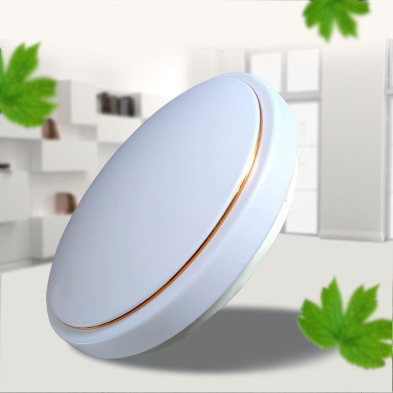 LED Ceiling Lights Living Room Kitchen Study Room Lights Dining Room Balcony Aisle Bread Lights All White Round Rice Sucking Pomelo