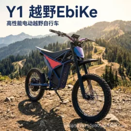 电动摩托车;电动自行车;车架