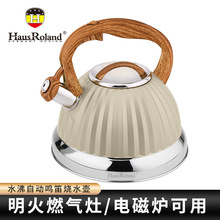 Hausroland�羳���P��Q��ˮ��ȼ�������ˮ��3L�{ɫ�Q�щ���ɫ��