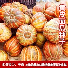 �SƤ��ϷN�Ӵ�ȫŴ�۸�����ϷN�����ϷN��ԭ�b�N�Ӵ�ȫ���l���l
