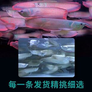 �߲��y���~���~��ؔ�Lˮ�~�y���~�����д��ͽ����~�Ꭷ�^�p�~