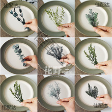 ��Ұ��֧|���D÷����ǧ�ӽ��������ɻ�diy���ϰ��Gɫ���~ֲ��˱�