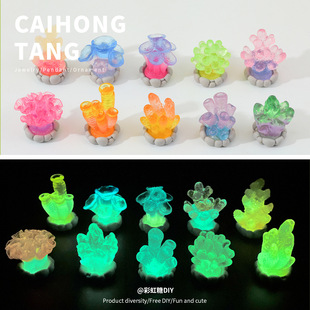 ��ɫϵ��Ȼ�쾰����ҹ�⺣��ֲ���������� DIY���wֲ�����Ԕ[��