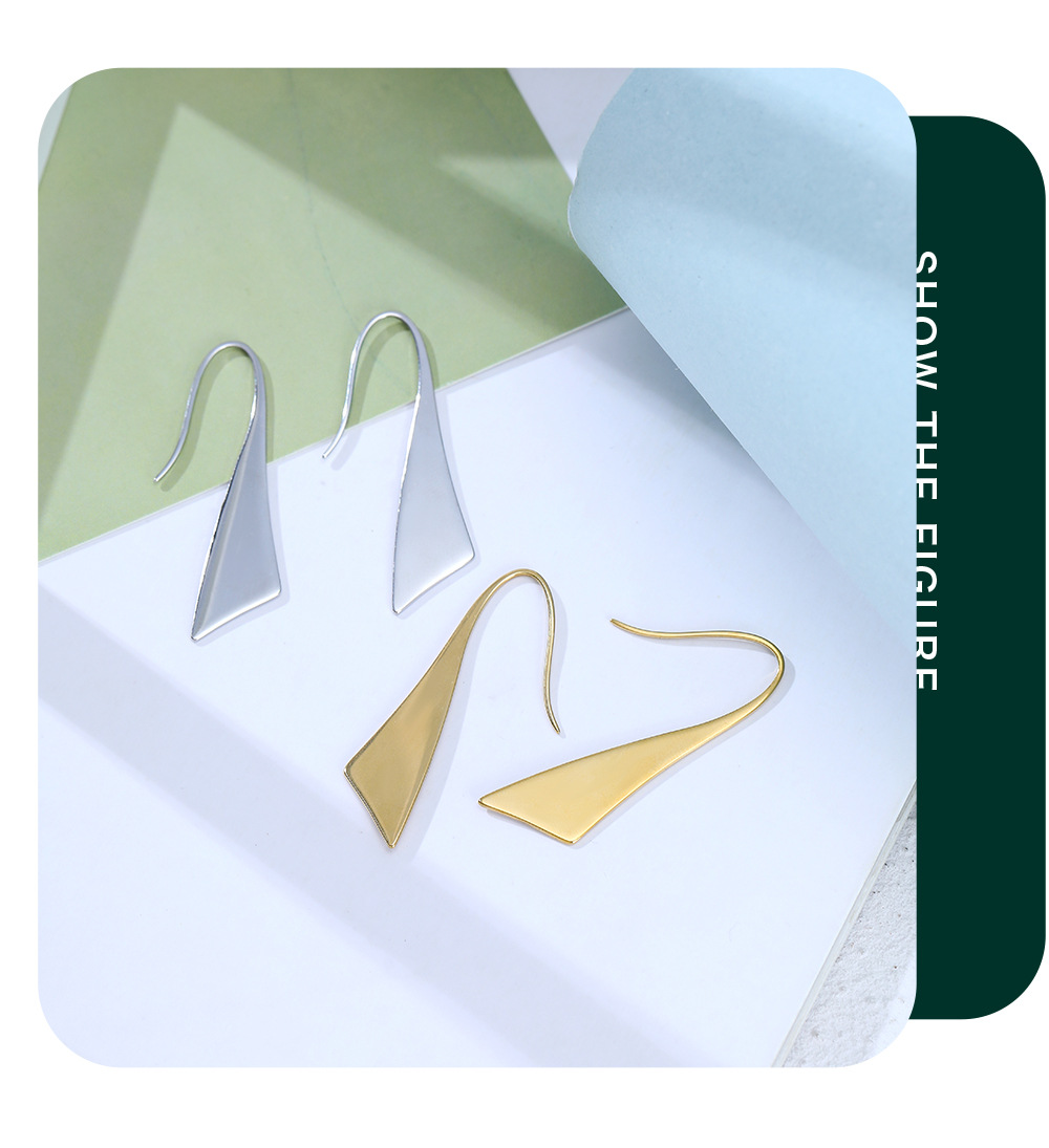 Simple Style Geometric Stainless Steel Plating Drop Earrings 1 Pair