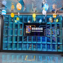 �R�����ǿ�̨��l���ֲ�����Yktv��̨�l�ⷿ�g����Ƶ걳�����R