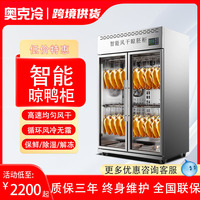 晾鸭柜商用烧鹅烧鸭烧腊挂肉柜保鲜烘干机烤鸭风干冷藏智能晾胚柜