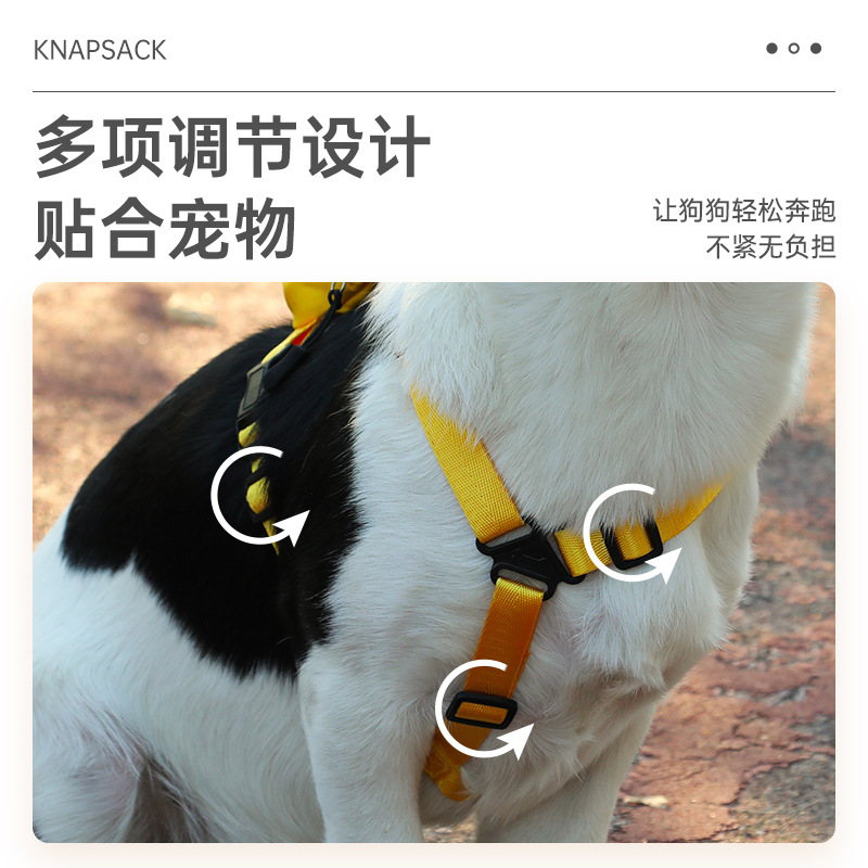 Wholesale New Pet Backpack Fashion Cartoon Colorful Outdoor Travel Cat and Dog Golden Retriever Portable High-Quality