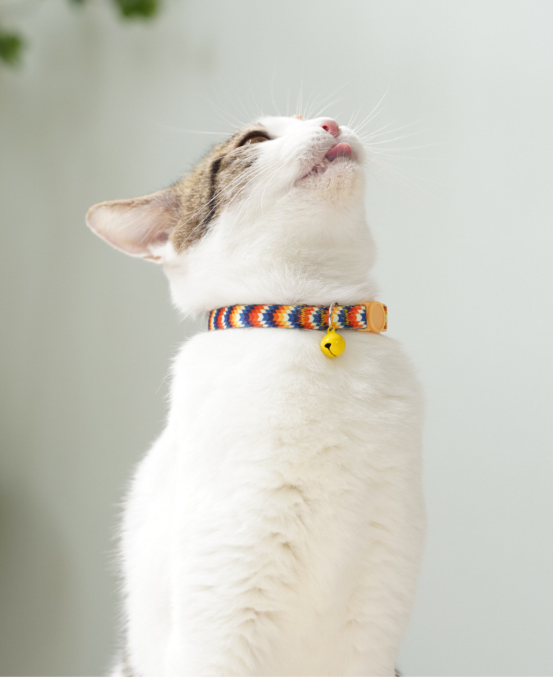 Simple Printed Adjustable Cute Dog Pet Collar Set display picture 1