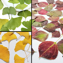 ＾y~{ݮ~~ѺɻgֹͯƴN