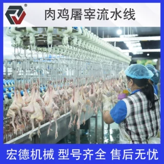淘汰蛋鸡浸烫脱流水线 家禽宰杀流水线 全自动肉鸡烫毛脱毛设备