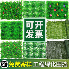 ��ƺ��̺�������ω|���˹��ٲ�ƤԺ�ӑ���Gֲ��������ٲ݉|