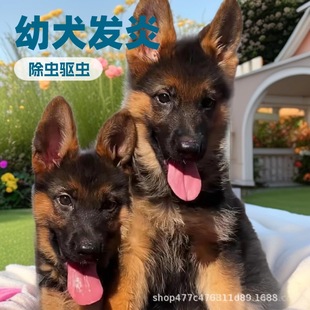 ������Ȯ�ڹ���������Ȯ�����ǹ��o�lȮ���w߅�����ﹷ����Ȯ