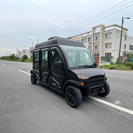 电动观光车;其他电动车;电动三轮车