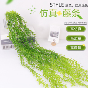 ���R�d���涹���ٗlͥԺ��피ҾӾƵ�ڒ�ֲ��b��쾰����Gֲ