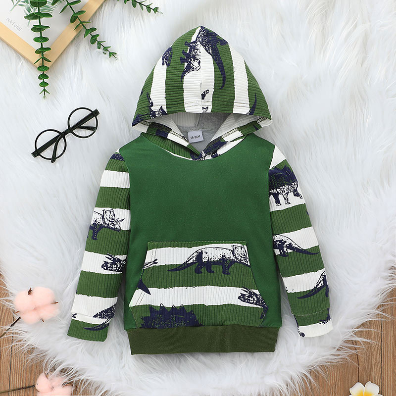 Children's Dinosaur Cartoon Sweater Trousers Two-piece Children's Clothing Wholesale display picture 3