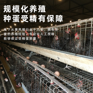 �����J���u�N���ܾ����ɷ���С�u�߮a���ݿ����ɽ�u�N���ܾ���