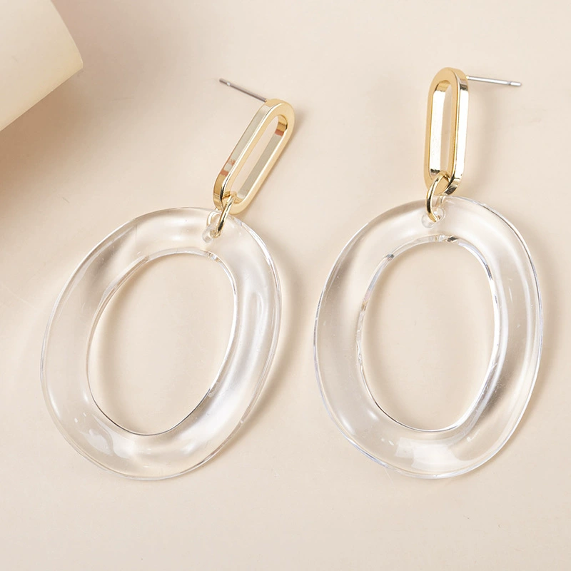Fashionable transparent sophisticated earrings, European style, Birthday gift