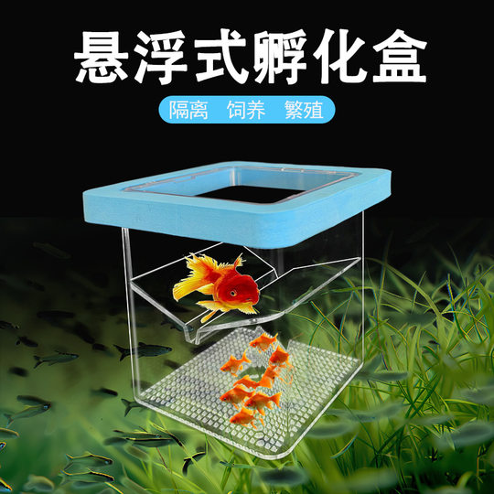 Thailand bucket fish tank transparent acrylic block isolation box small ornamental special desktop landscaping fish tank row tank