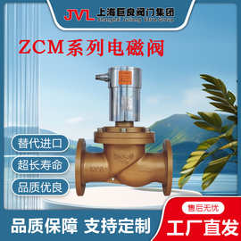【厂家直销】ZCM大通径燃气电磁阀,二位五通电磁阀,12v电磁阀燃气