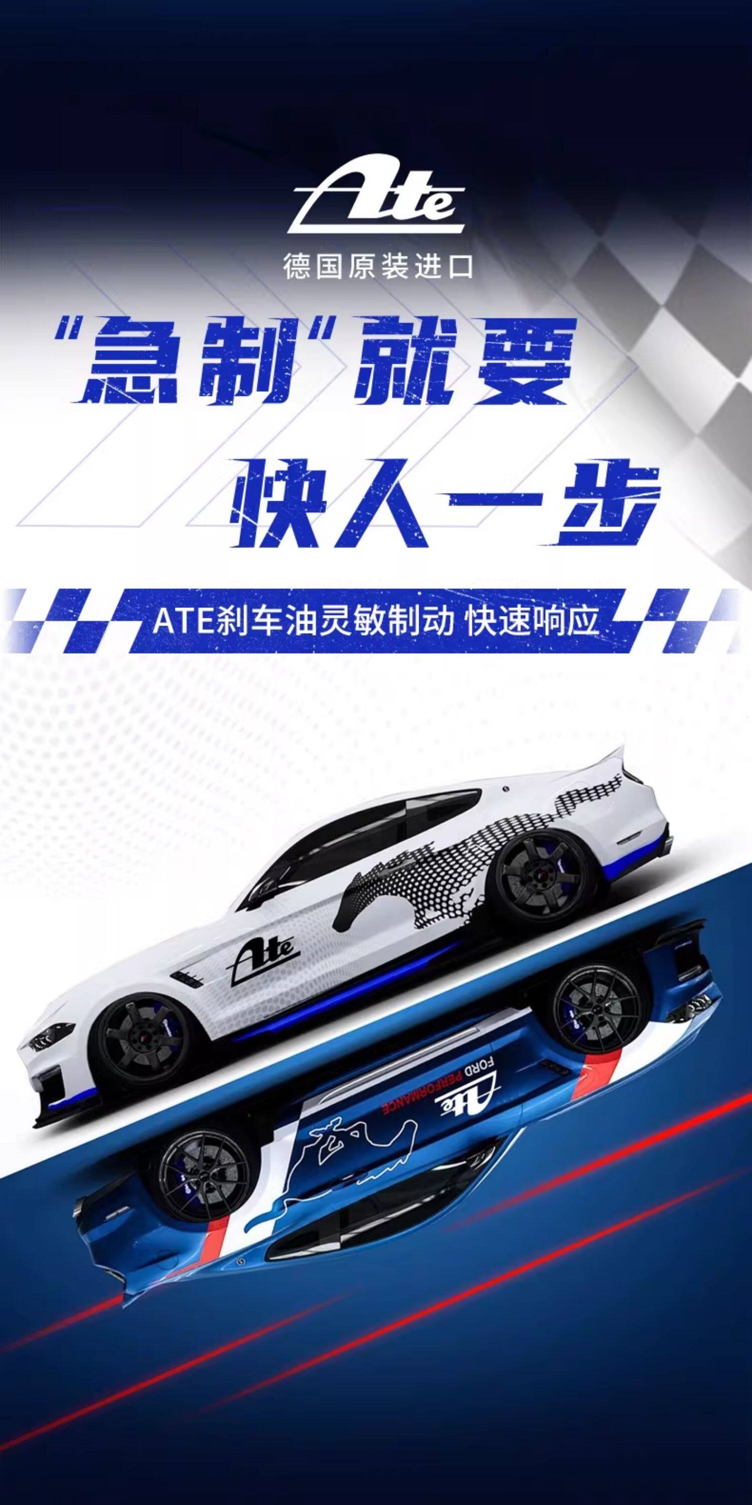 Ate Brake Fluid Typ200 Original Imported Fully Synthetic Motorcycle Clutch Racing Car Dot4 Brake Fluid