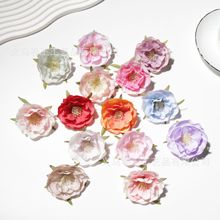 6cmܽɽ軨diyh^ֹLl^ñ