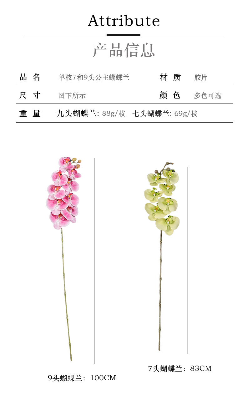 单枝7和9头公主蝴蝶兰_03.jpg
