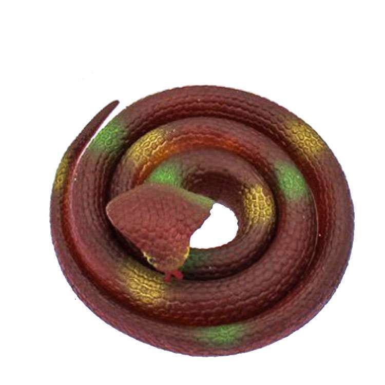 65 고무 코브라-커피