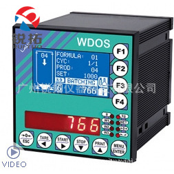 WDOS称重显示器 意大利Laumas