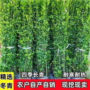 �������S��������ļ������ͺ��G�h���ڶ��^ͥԺ����