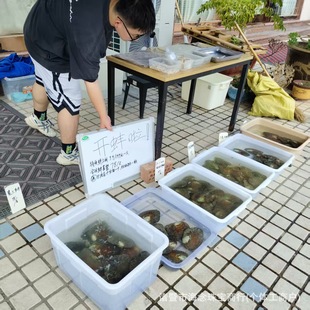 ���w�Ӱ����lֱ��ҹ�ЬF�����_ȡ����diy�����Ʒ�T��ɽ�º�����