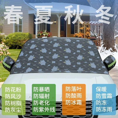 Car Snow Cover, Front: Car snow shield