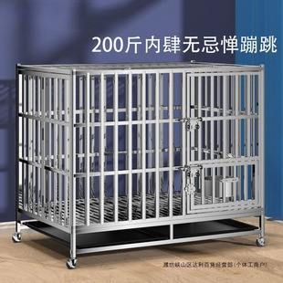 304���P䓹��\ �Ӵ�������Ȯ�ۯB��ë��̖�������҃ȼӴ���������