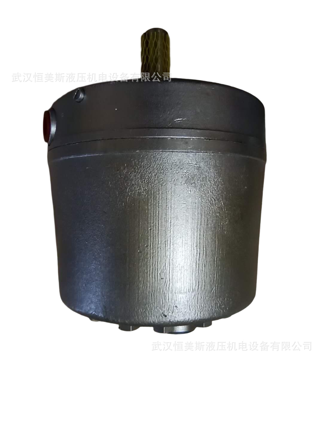 德国HAWE哈威柱塞泵V80M-200LDMN-1-1-XX/N-2/190-400C315-Z05