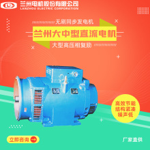 兰州电机TFW大型高压相复励无刷同步发电机大中型交直流电机110kw