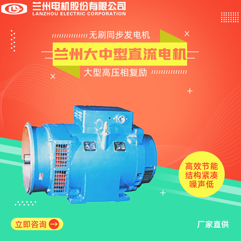 Lanzhou Motor Tfw Large High-Voltage Phase Compound Brushless Synchronous Generator Large and Medium-Sized Ac and Dc Motor 110Kw