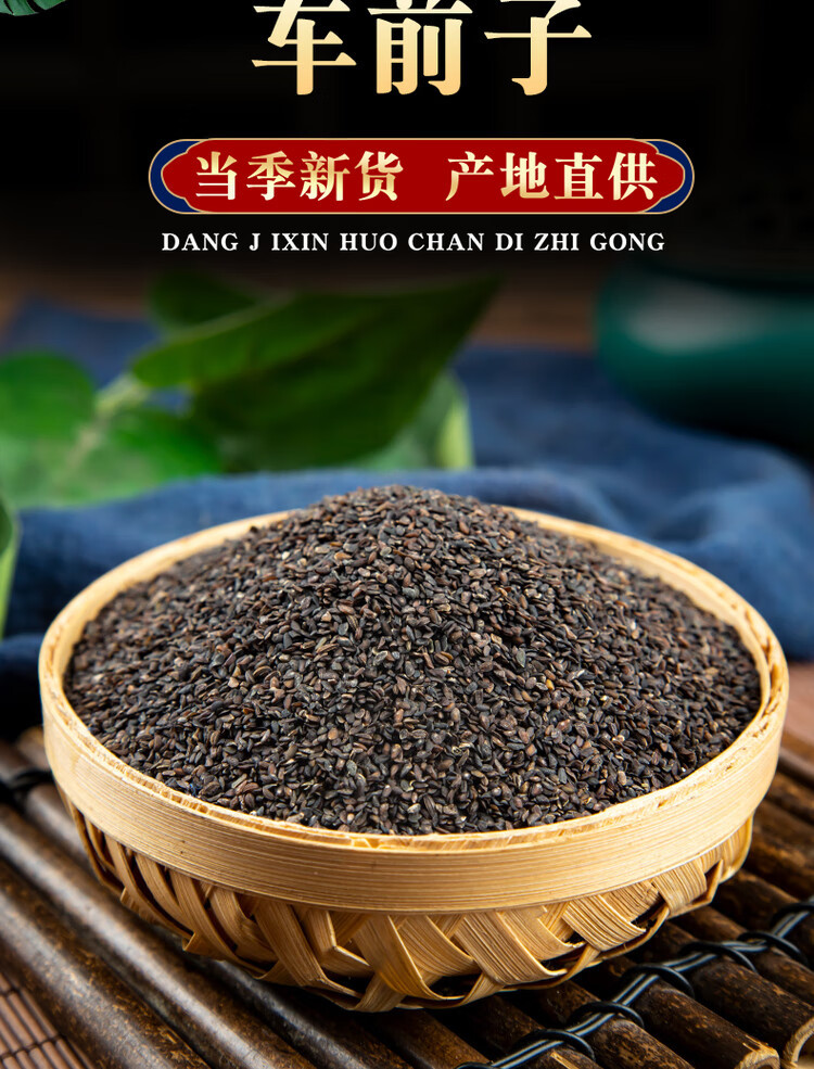 Plantain Seed Che Qian Zi 500g Dried Whole Seeds for Herbal Tea and Decoction overview