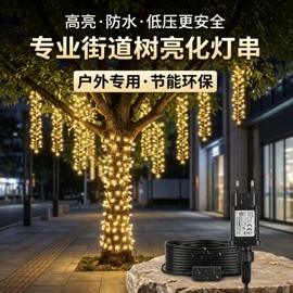 室内LED;LED装饰灯;室外LED