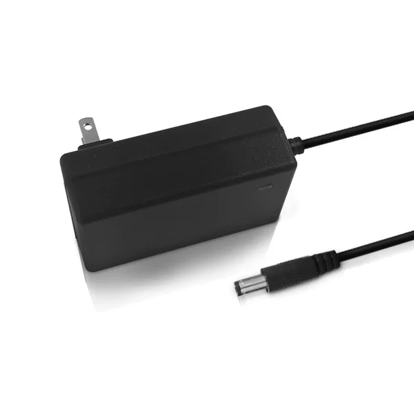 21V2A car wash gun charger, dual cable, 2 units per box