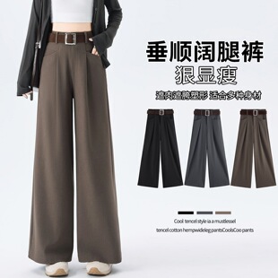 �������b���ѝŮ2026�＾�����@�ݸд��Еr�����e�ڿ��Lѝ��