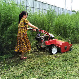 柴油大马力自走式灭草机价格 果园碎草机图片 手扶式割草机批发