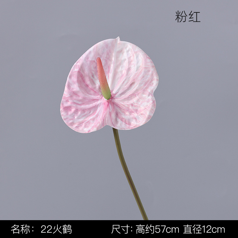 분홍색