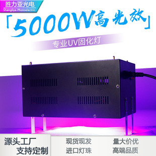 High-power portable LED Lamp uv light paint printing machine light fixing lamp glue cold light source printing plate uv lamp