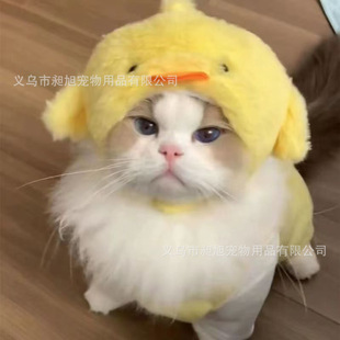�羳���N����W�tñ���^�׿ɐ�؈���b�ñ���ﶬñС��Ȯ؈�����