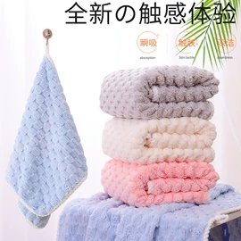 抹布、百洁布;擦车巾;浴裙